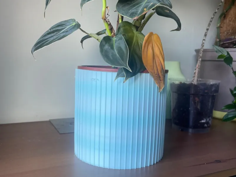 plant pot