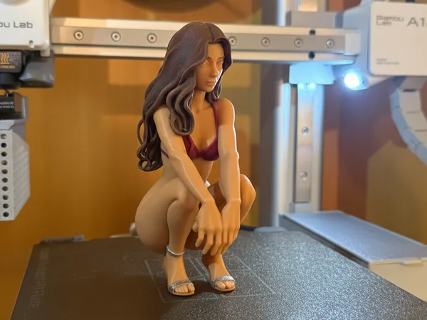 https://makerworld.bblmw.com/makerworld/model/USeab797f395da51/design/2026-01-09_14394da21e9c08.png