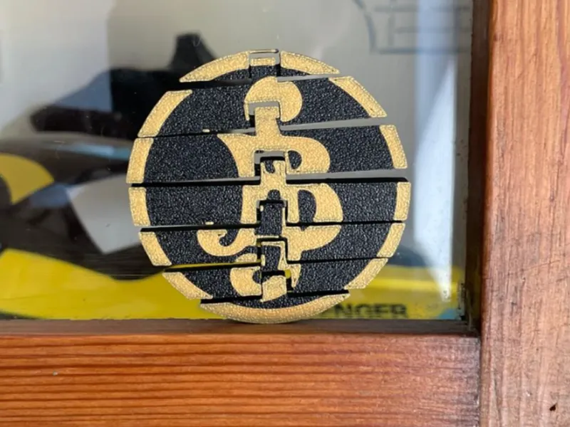 One Piece fidget coin