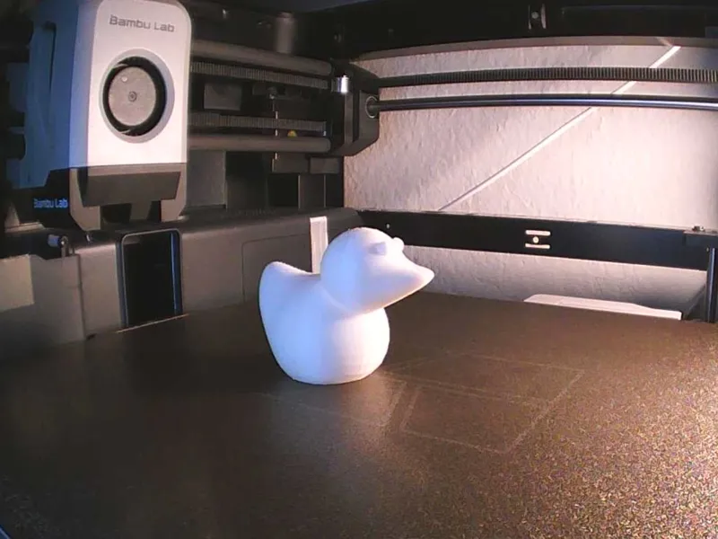 Test Duck