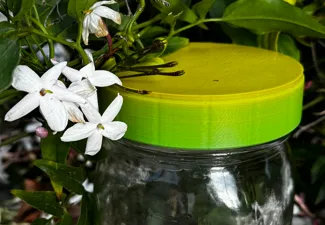 Mason jar lid