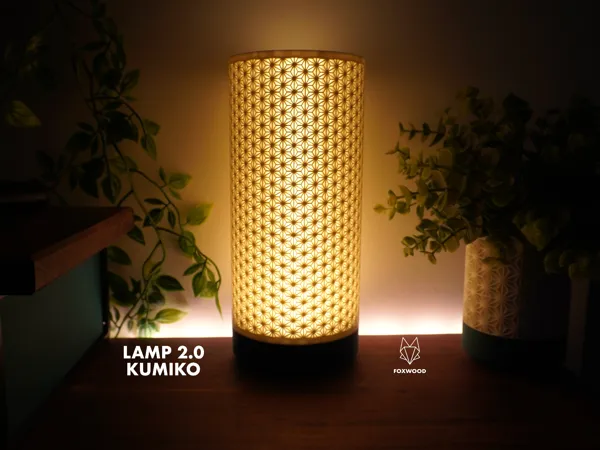 https://makerworld.bblmw.com/makerworld/model/USeac22987356a57/design/2025-01-31_2d0cb61a0fdc68.jpg