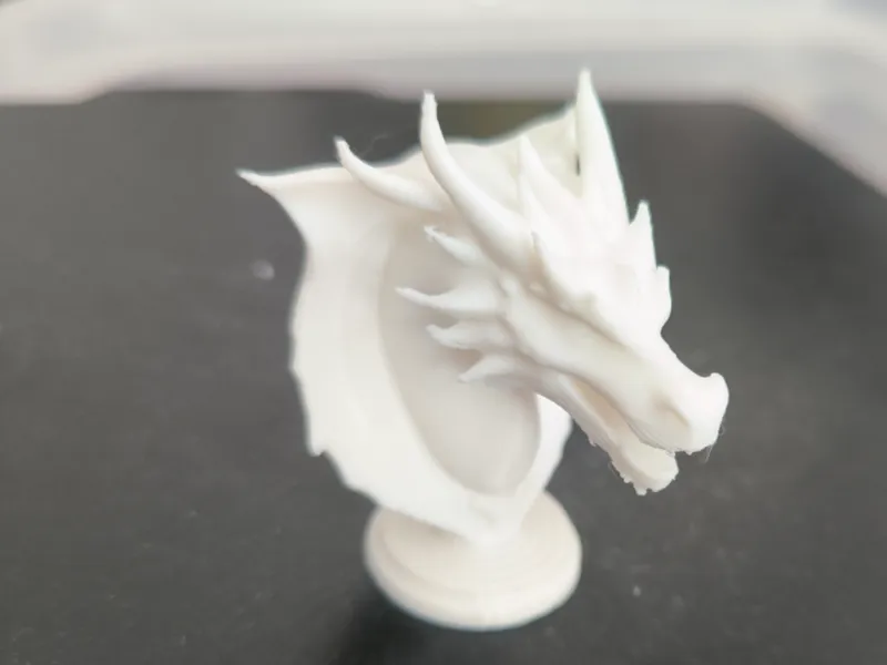 dragon head 