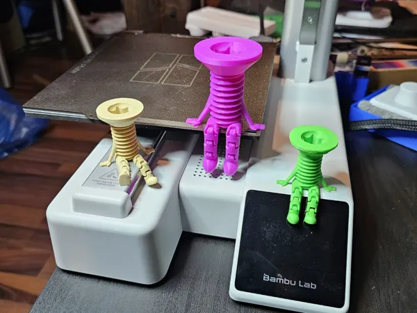 https://makerworld.bblmw.com/makerworld/model/USeac56f30e244c0/design/2025-01-21_555de274947b4.jpg