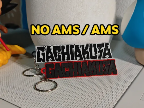 https://makerworld.bblmw.com/makerworld/model/USeac63a3fcd652a/design/2025-12-27_553b25371827a.png