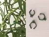 trellis clips