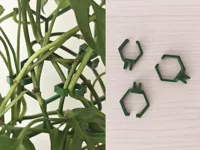 trellis clips