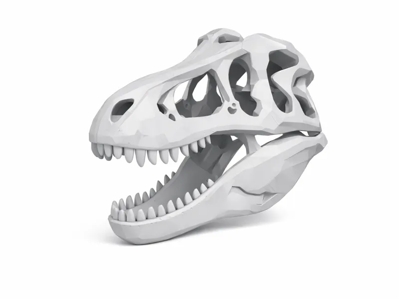 t rex skull