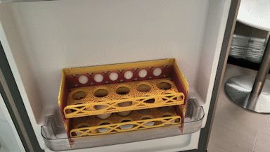 Stackable Egg Storage Rack|Easy Access|Refrigerator Door Slot