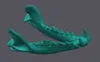 Lower Jaw - 0.32mm layer, 3 walls, 3% infill