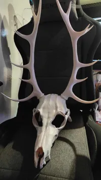 Masque Wendigo/Krampus à assembler — photo 2