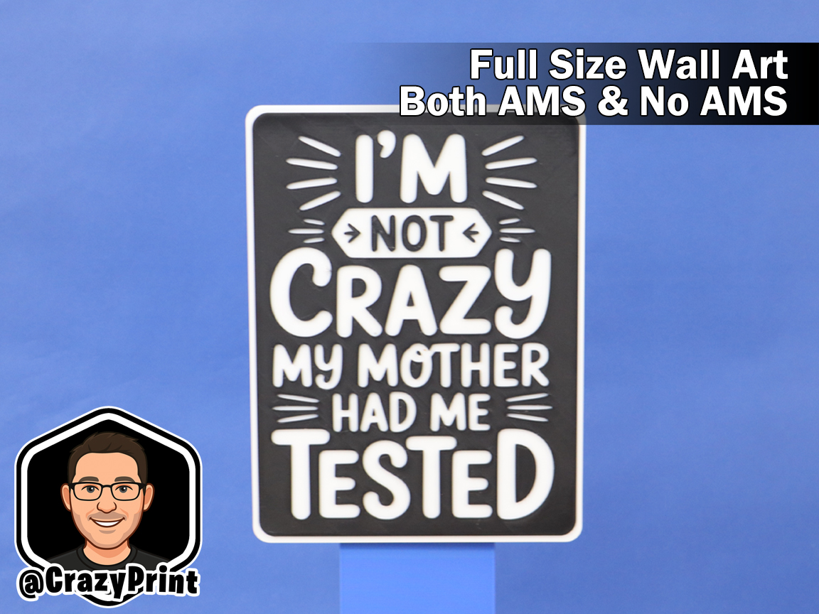 Funny "Mother had me tested" wall art/Sign No AMS
