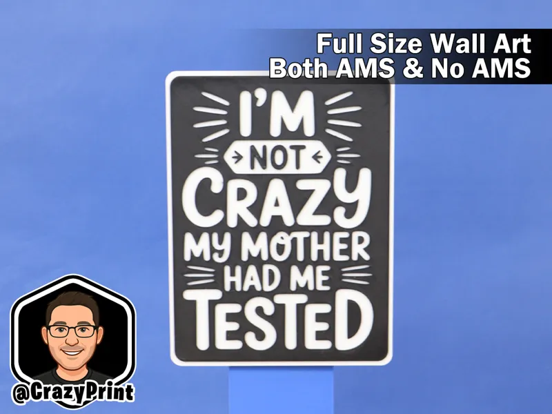 Funny "Mother had me tested" wall art/Sign No AMS
