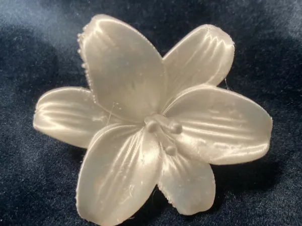 https://makerworld.bblmw.com/makerworld/model/USeadce01783b77b/design/2025-12-18_86fc6ae4552b2.jpg