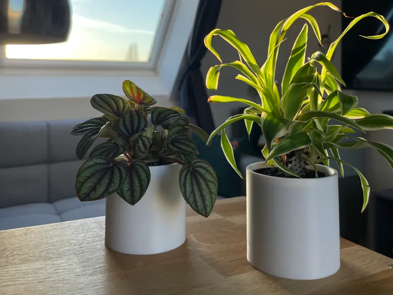 Minimalistischer Mini Blumentopf