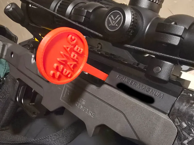 22 WMR (Magnum) Weapon Safe Flag
