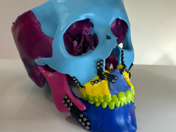 https://makerworld.bblmw.com/makerworld/model/USeadf04fe3cc658/design/2024-08-20_de021957bb8ae.jpg