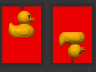 Duck Hallpass