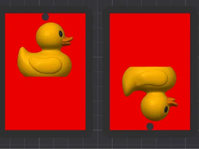 Duck Hallpass