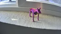 0.2mm layer, 2 walls, 25% infill