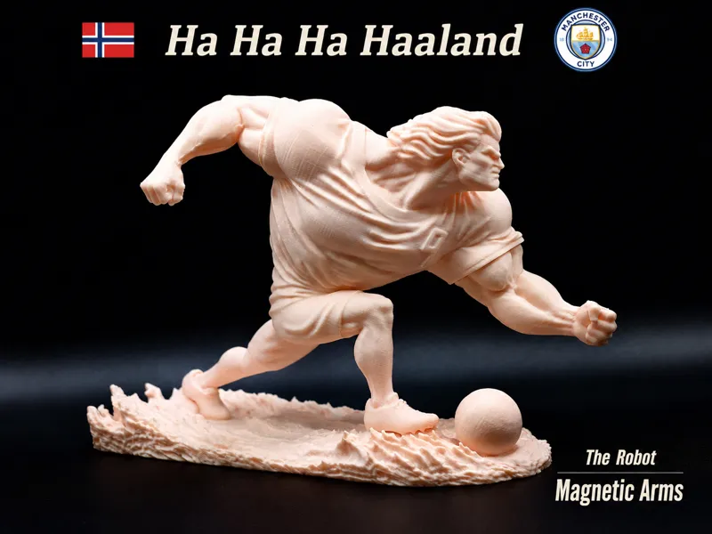 Erling Haaland