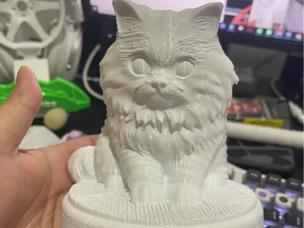 https://makerworld.bblmw.com/makerworld/model/USeaf06c4144e9a6/design/7b054a2d520d8f8f.jpg