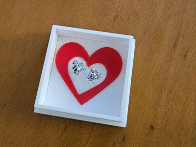 Pandora Earrings Box