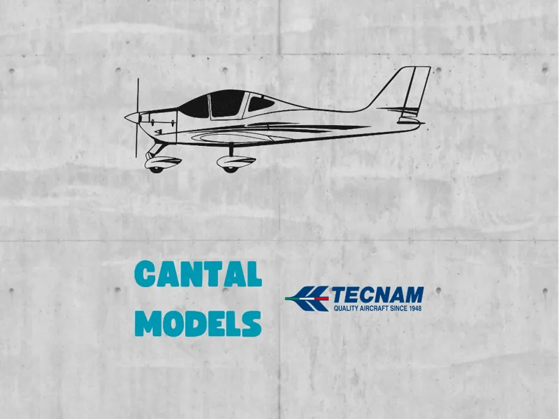 TECNAM P2002 #2 | 2D WALL ART