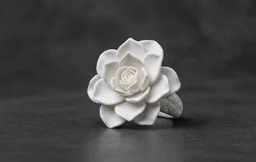 Accesorio para impresora 3D: 大朵莲花戒指,通用内径尺寸 — vista de referencia 3