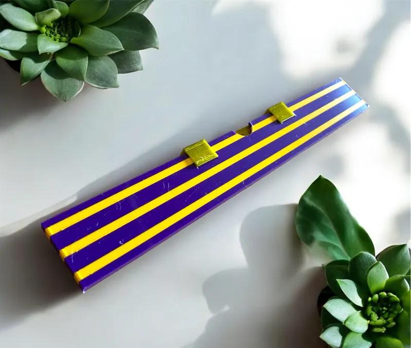 30cm Ruler protection case