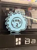 THING 2 HAIR COASTER