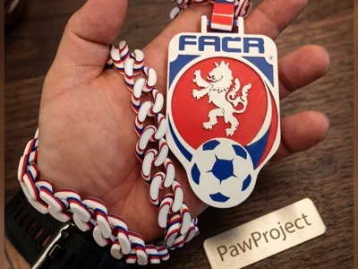 Czech Republic National Football Team Logo (FAČR)