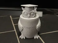 0.2mm layer, 2 walls, 8% infill