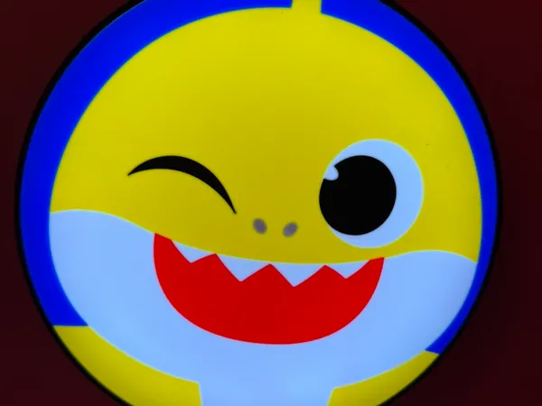 https://makerworld.bblmw.com/makerworld/model/USeb0d9074de07cd/design/2025-06-01_b6c2ae16d476e8.jpeg