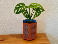 planter