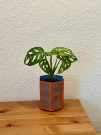 planter with holes