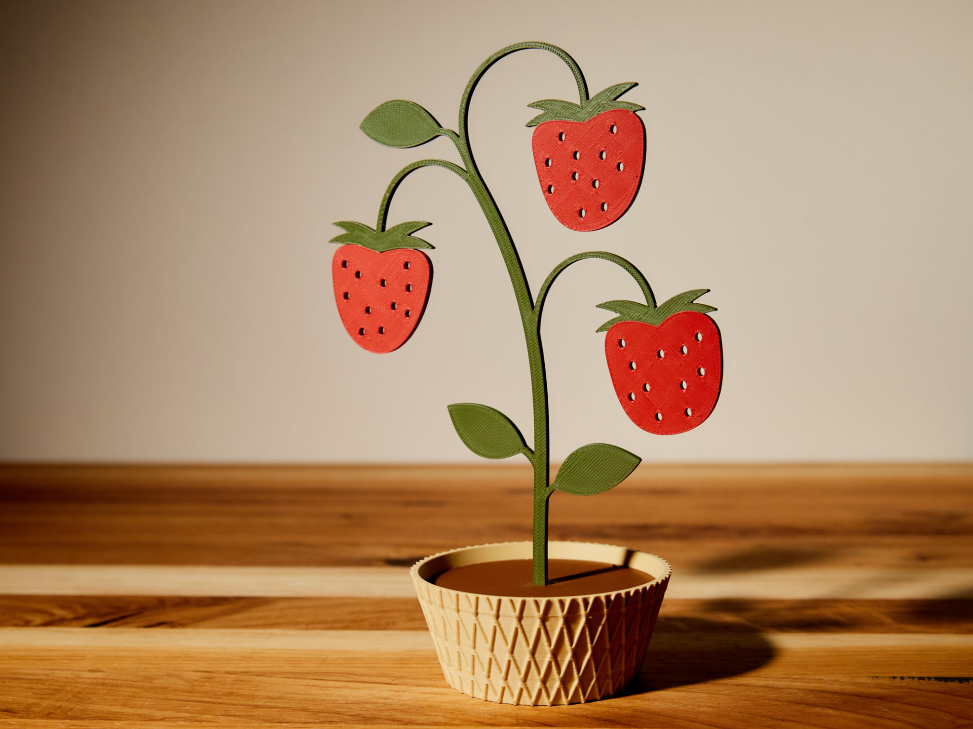 Erdbeere mit Topf Erdbeerstrauch - Strawberry Bush