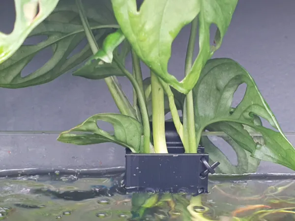 https://makerworld.bblmw.com/makerworld/model/USeb15780ad6b513/design/2024-07-16_ee5976c9befc2.jpg