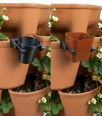 3 inch pot