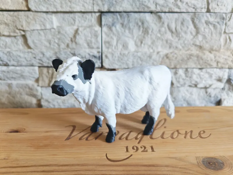 Realistic Belted Galloway Cow - Schleich Inspired