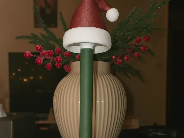 https://makerworld.bblmw.com/makerworld/model/USeb1f14f4676659/design/2025-12-06_de177035c52a8.png