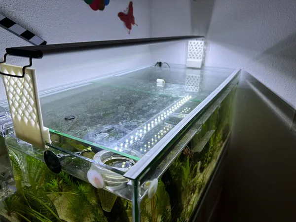 https://makerworld.bblmw.com/makerworld/model/USeb2137a2c9ea00/design/2024-01-03_295a5bfb0f3cd.jpeg