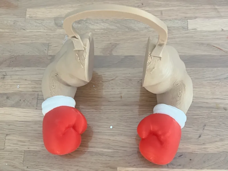 BRAS GANTS BOXE CHAT