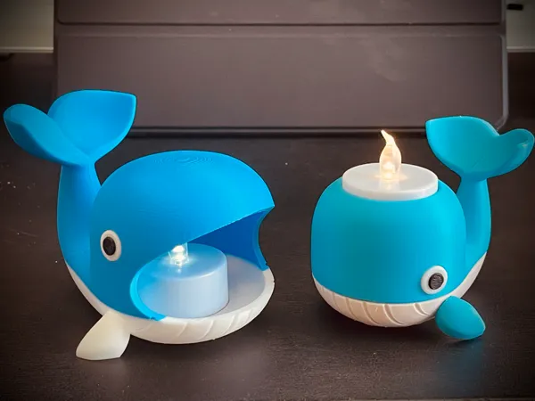 https://makerworld.bblmw.com/makerworld/model/USeb219b16d12c6b/design/2025-01-03_22fcbf30476dc.jpg