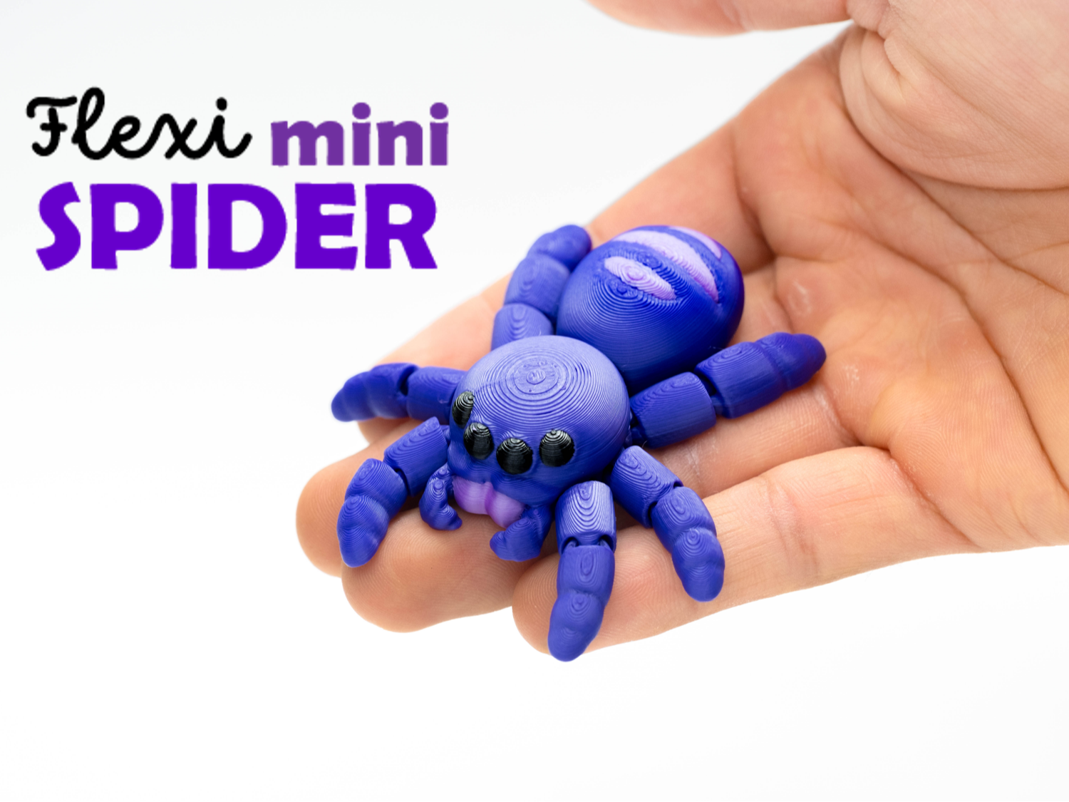 Flexi Mini Spider 3D model