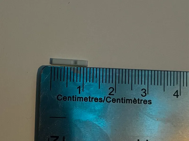 The Smallest Whistle