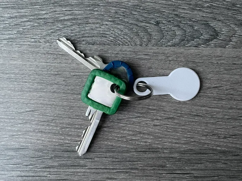 Shopping cart chip as a keychain