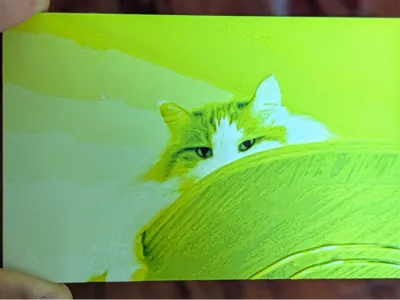 Photo to 3D Cat