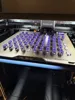 64 mini dogs with silk pla and petg for support/Dual nozzle