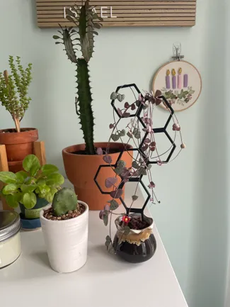 Hexagon House Plant Trellis 